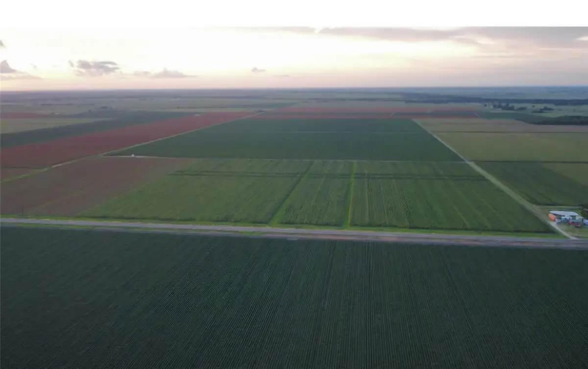 0 Fm 1164 Road, East Bernard, TX 77435 - #1