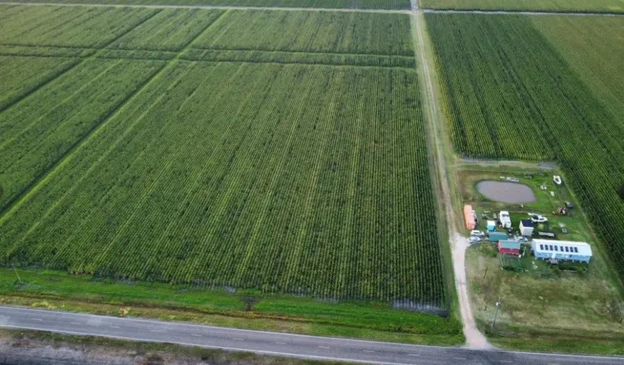 0 Fm 1164 Road, East Bernard, TX 77435 - #2