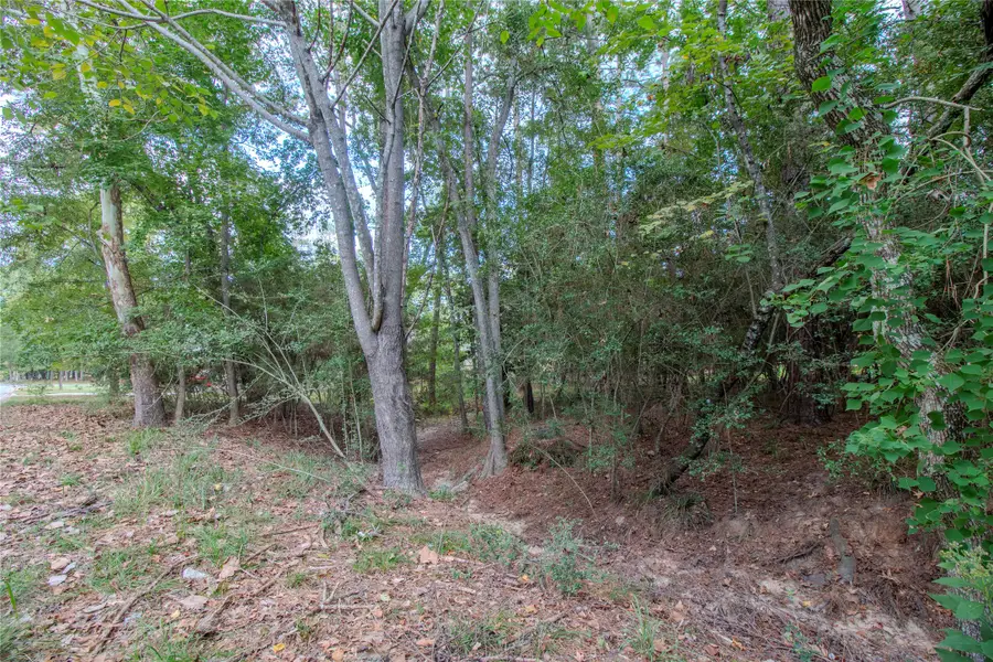 1308 River Oaks Drive, Huntsville, TX 77340 - #3