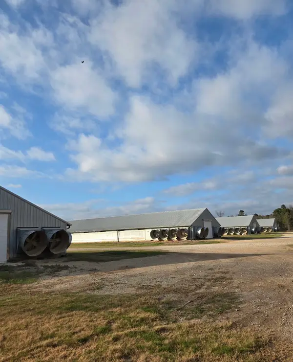 16701 Cr 367, Winona, TX 75792