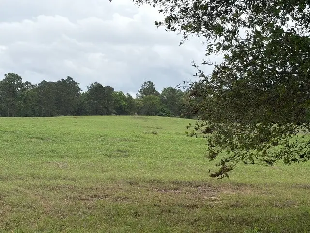 Lot 251 Lakeland Ranch, Hillister, TX 77624 - #1