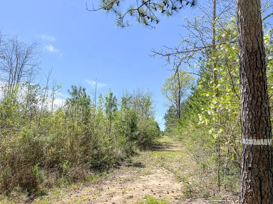 3 Fm 942, Camden, TX 75934 - Image #2