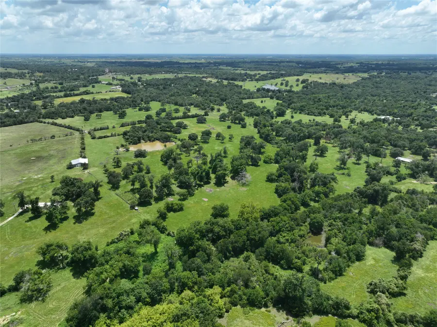 0 Wellman Road, Washington, TX 77880 - Image #3