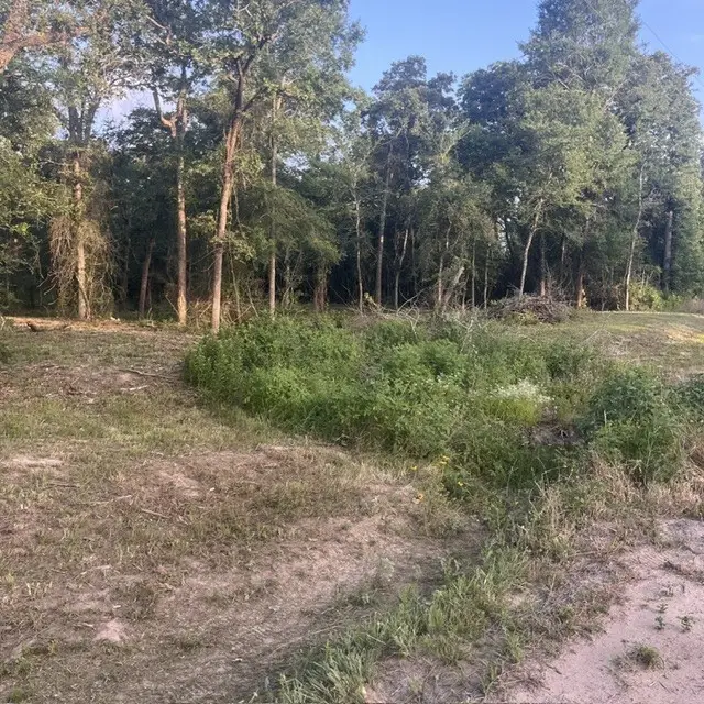 0000 Kerny, Hempstead, TX 77445 - #3