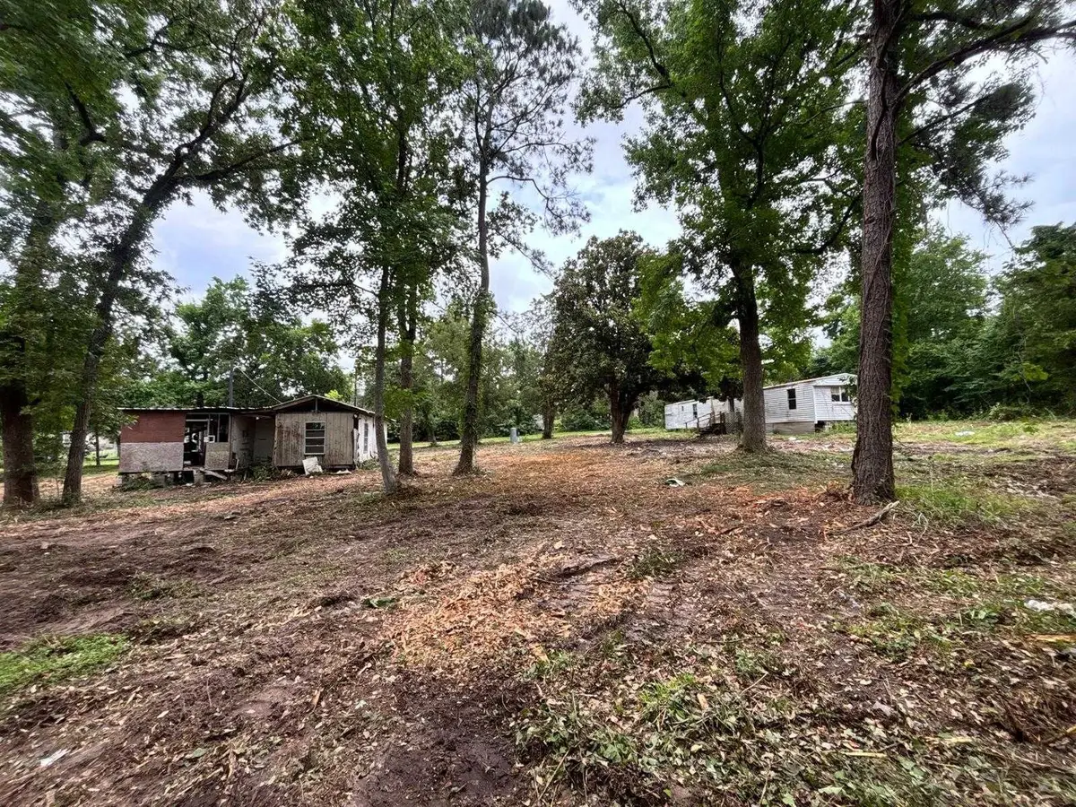19875 Ava Lane, Montgomery, TX 77316 - #1