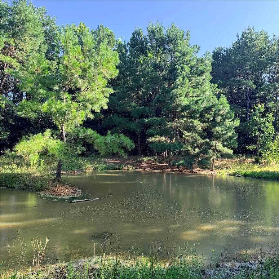 TBD Fm 943 E, Livingston, TX 77351 - #3