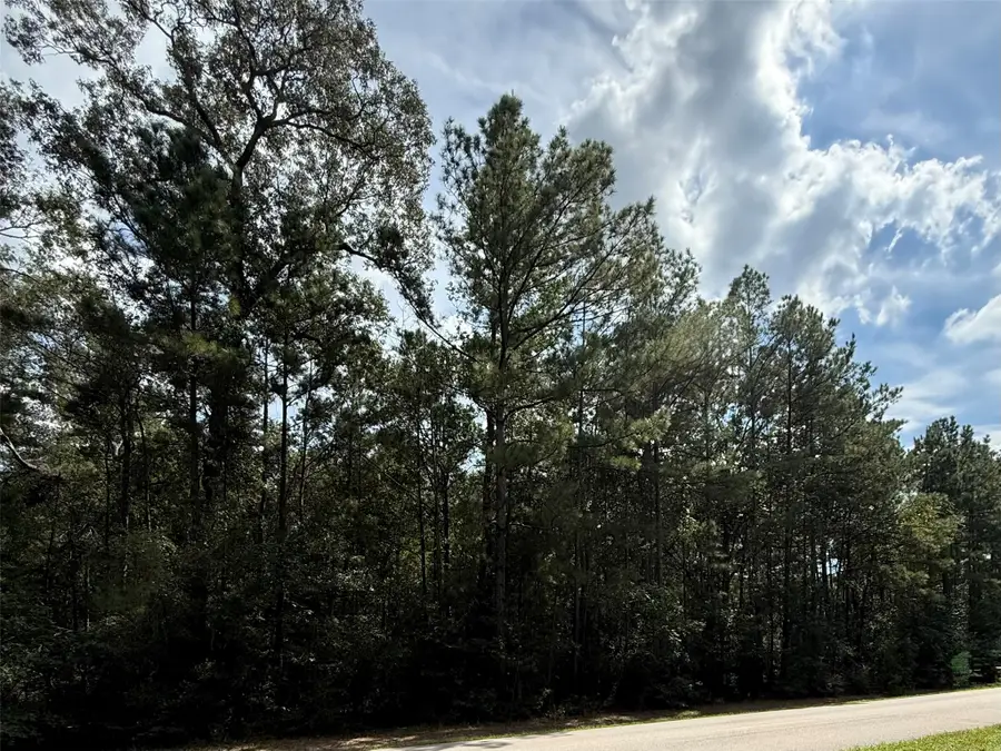 17337 Northcrest Circle, New Caney, TX 77357 - #3