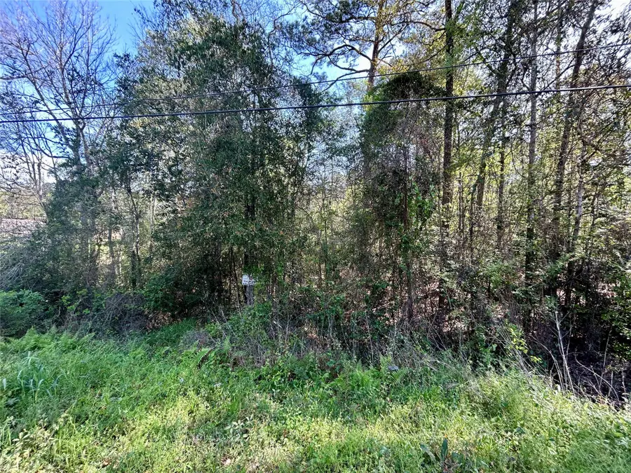 LOT 77-A Royal Lake Drive, Conroe, TX 77303 - Image #2