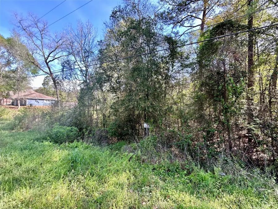 LOT 77-A Royal Lake Drive, Conroe, TX 77303 - Image #3