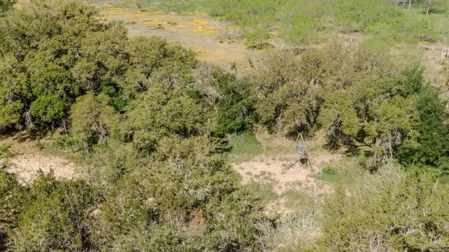 55 Acres Fritz Rd, London, TX 76854 - #3