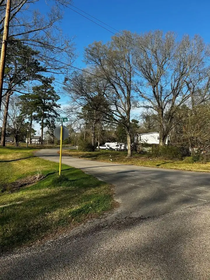 0 Olds Drive, Porter, TX 77365 - #3