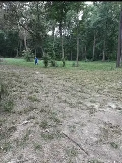 136469 Mustang Drive, Splendora, TX 77372 - Image #2