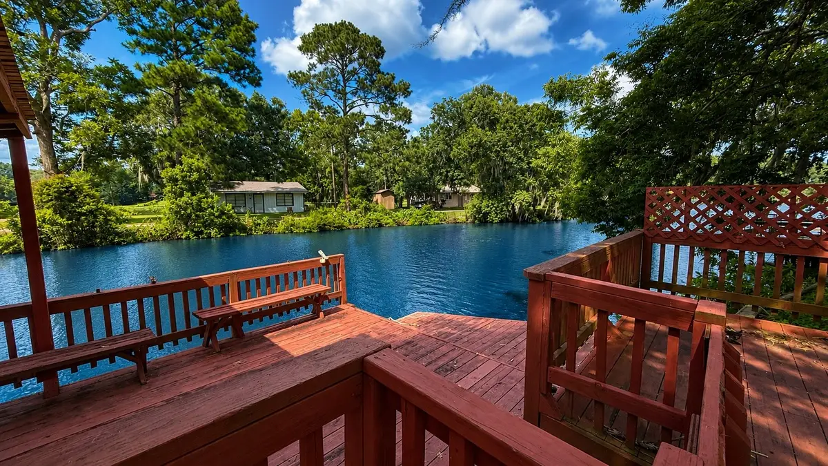 297 Hackberry Lane, Livingston, TX 77351 - #1