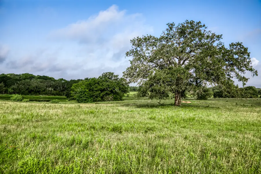 Tract 5 S Nassau Road, Round Top, TX 78954 - #3