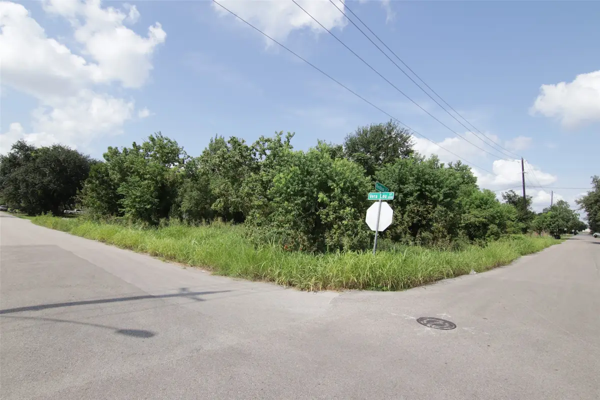 1202 Vera Lou Street, Houston, TX 77051 - #1
