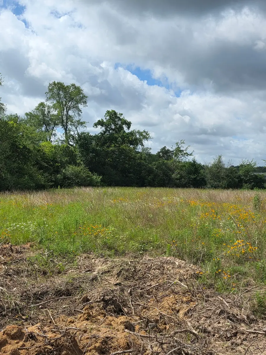 TBD LOT 3 County Road 201, Plantersville, TX 77363 - #3