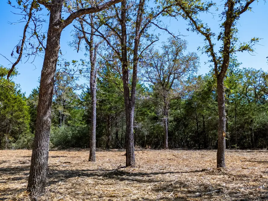 12345 County Road 414, Somerville, TX 77879 - #3