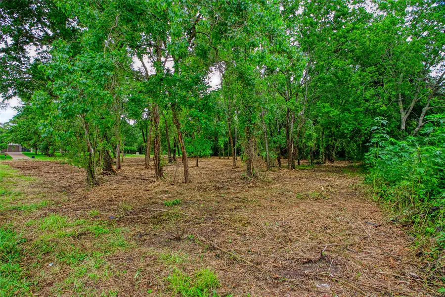 501 Colonial Drive, Friendswood, TX 77546 - Image #2