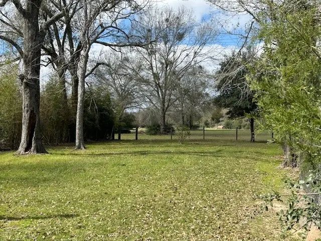 Lot 8 25th Street, Hempstead, TX 77445 - #3