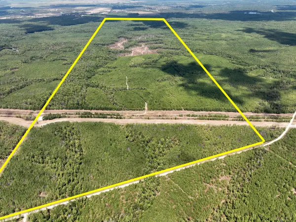 00 Off Lost Indian Camp Road, Huntsville, TX 77320