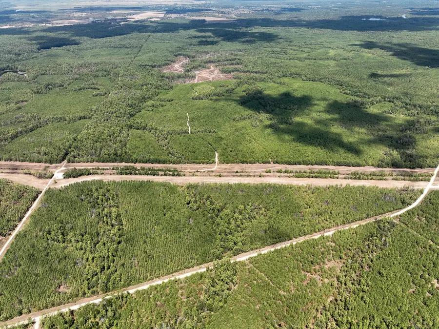 000 Off Lost Indian Camp Road, Huntsville, TX 77320 - Image #2