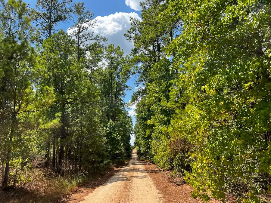 000 Off Lost Indian Camp Road, Huntsville, TX 77320 - Image #3