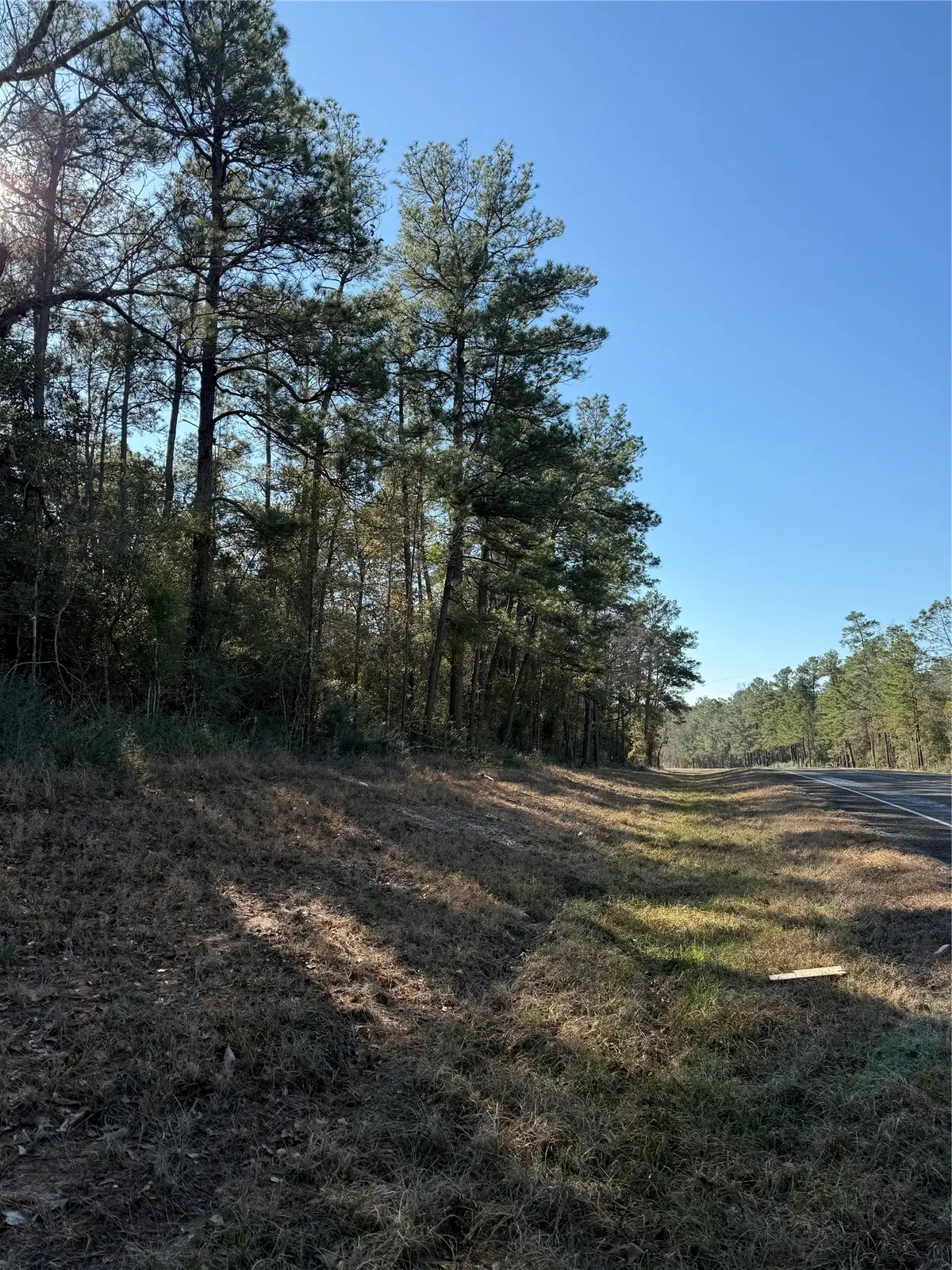 TBD E Fm 942, Corrigan, TX 75939 - #1