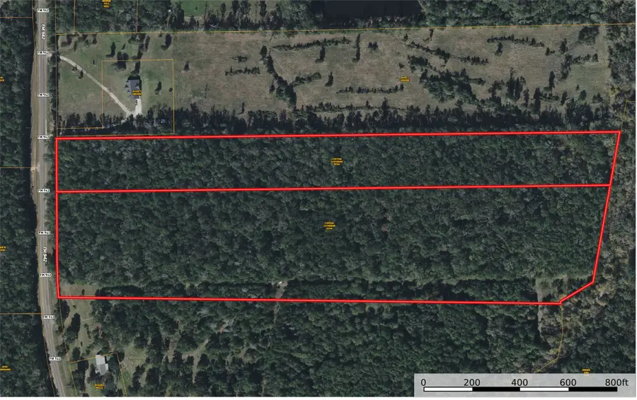 TBD E Fm 942, Corrigan, TX 75939 - #3