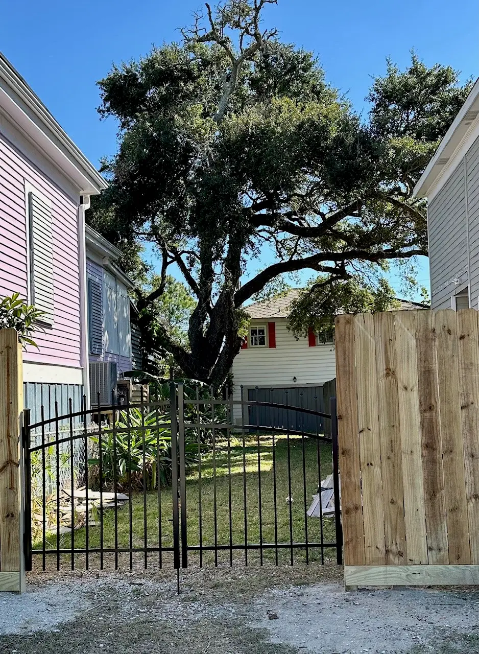 1009 Sealy Street, Galveston, TX 77550 - #1