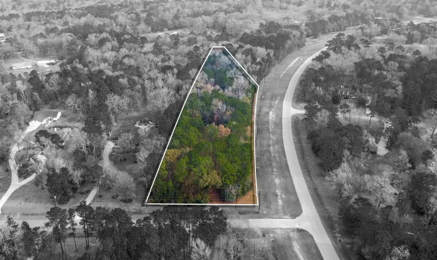 235 Lake Commons Court, Huffman, TX 77336 - #3