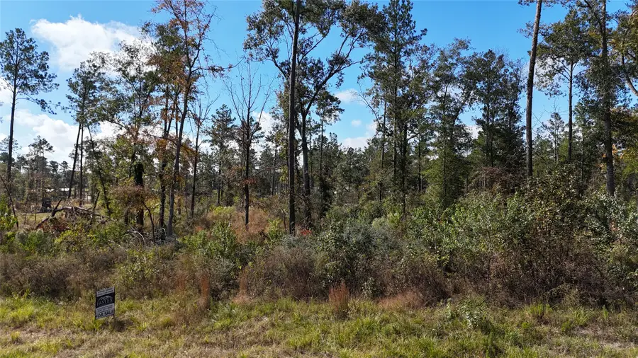 TBD 7 Reveille Road, Livingston, TX 77351 - Image #2