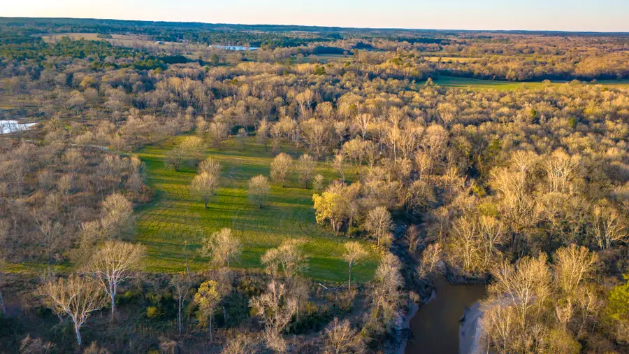 TBD 06 Johnson Drive, Livingston, TX 77351 - #2