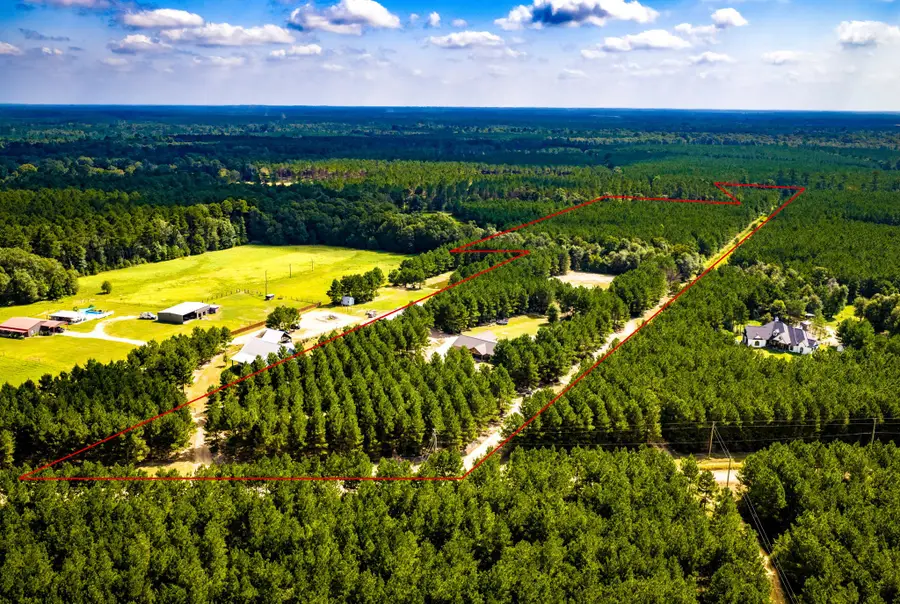879 Tram Road, Livingston, TX 77351 - #3