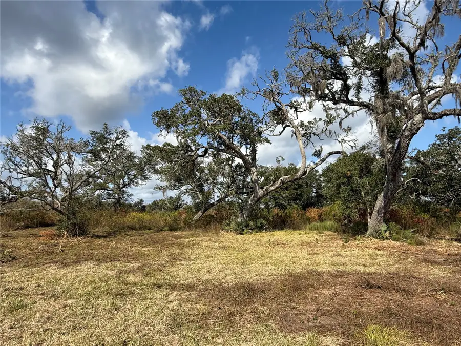 2 Cr 700, Brazoria, TX 77422 - Image #3