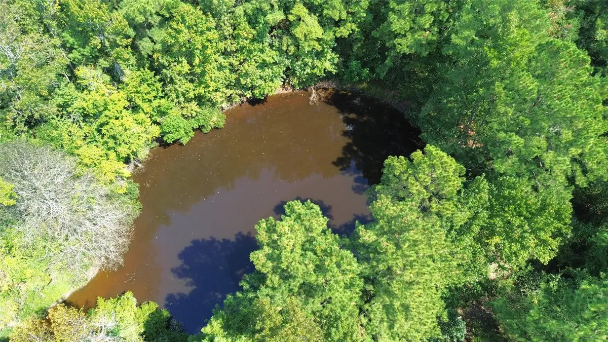 7405 County Road 1830, Crockett, TX 75835 - Image #1