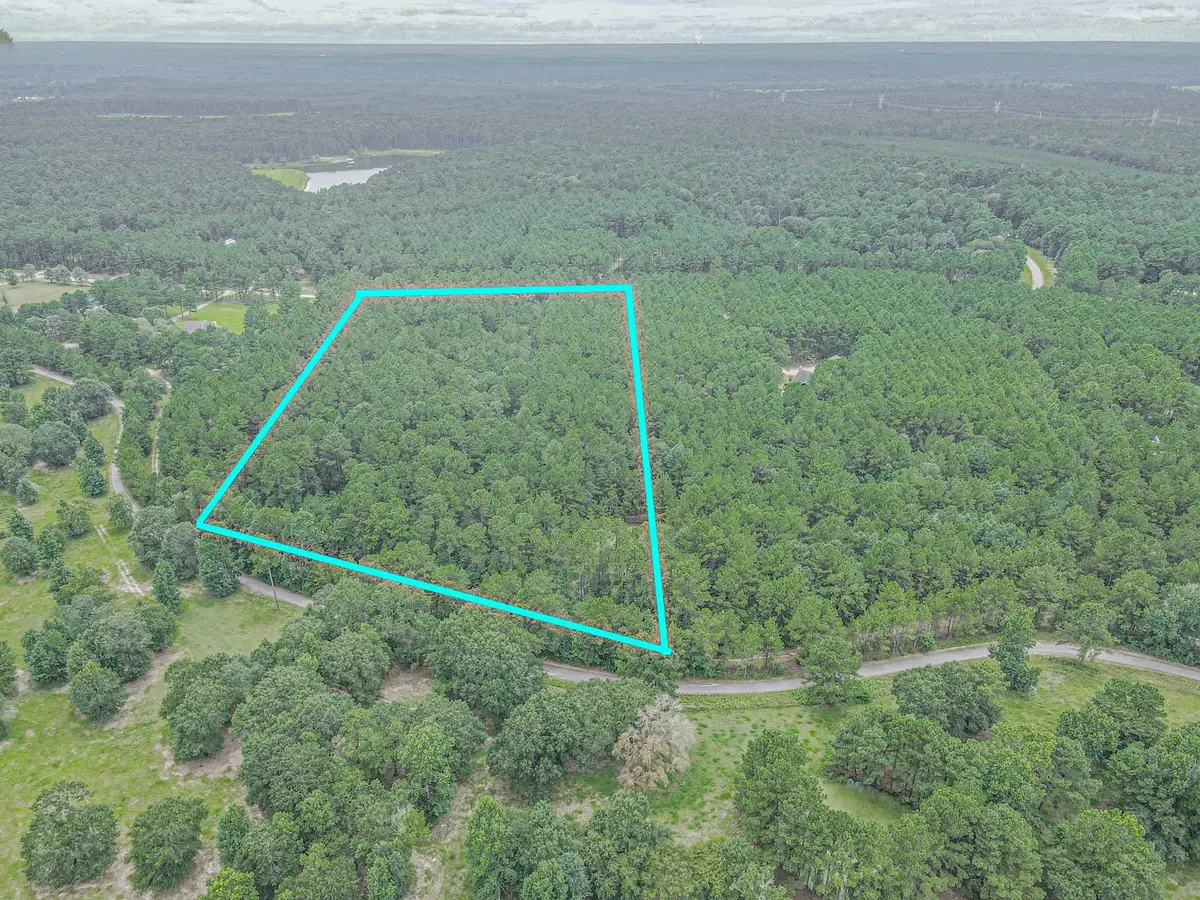 9947 Amelia Drive, Anderson, TX 77830 - Image #1