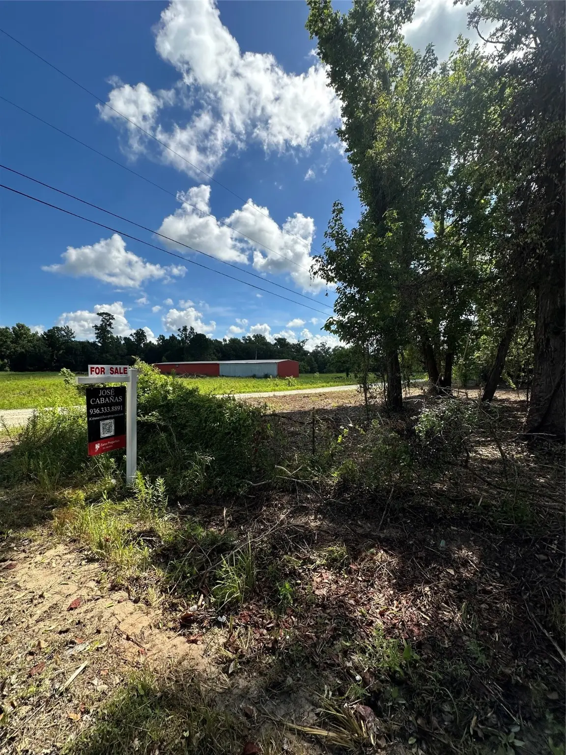 000 Red Oak Drive, Plantersville, TX 77363 - Image #1