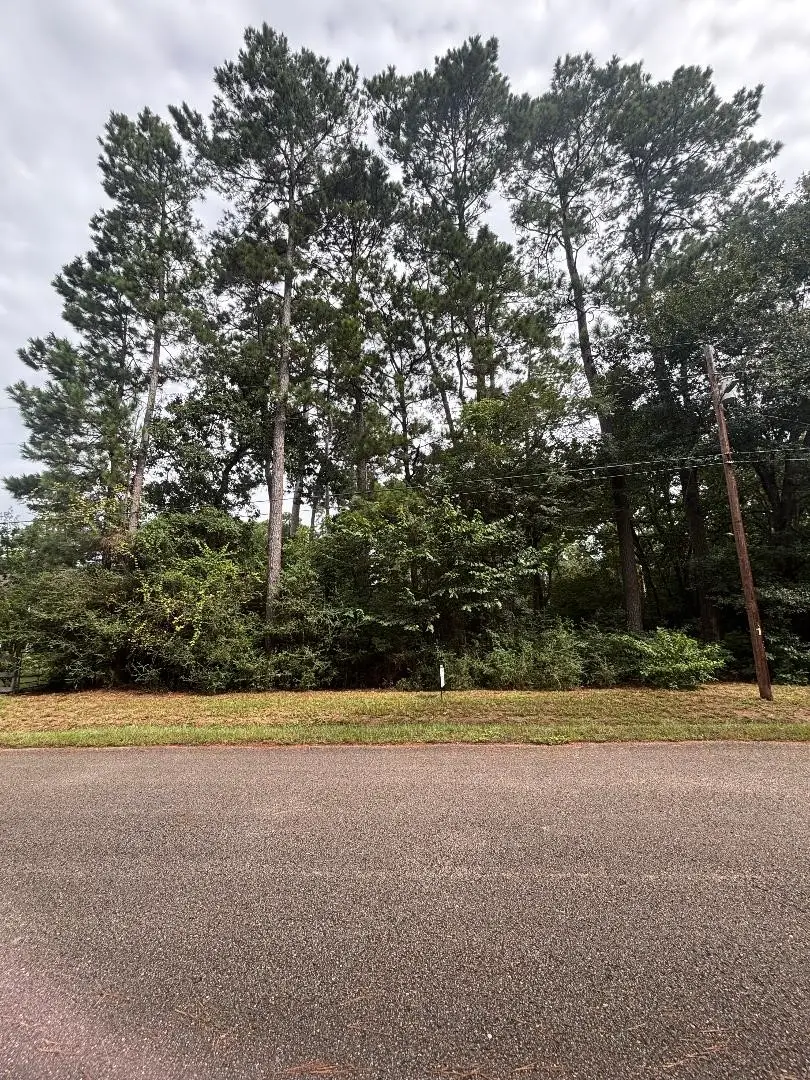 Lot 126 Fantail Street, Magnolia, TX 77355 - #2