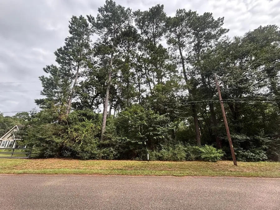 Lot 126 Fantail Street, Magnolia, TX 77355 - #3