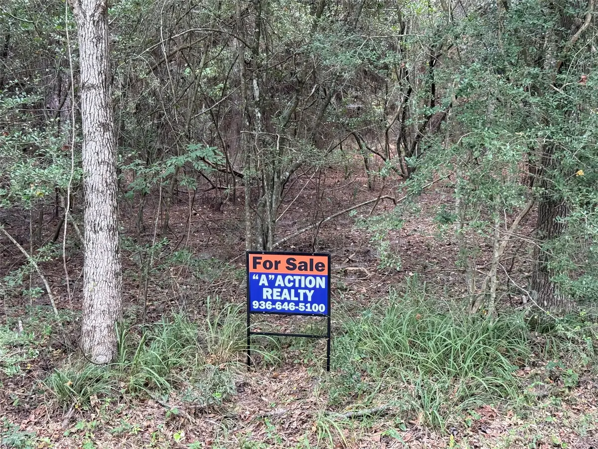 TBD Mockingbird Hills, Livingston, TX 77351 - #1