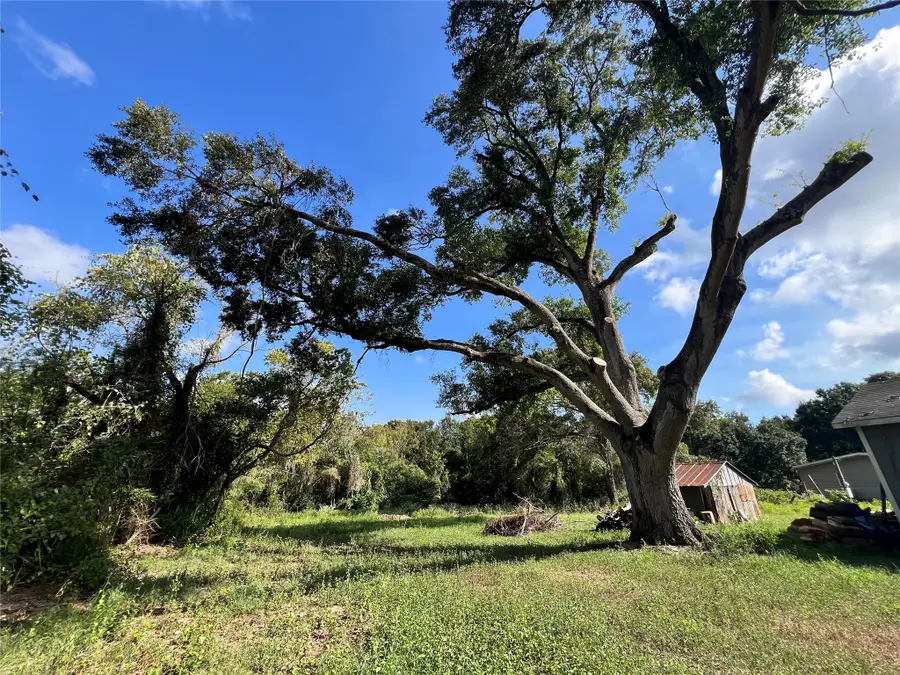 726 Travis Street, Sealy, TX 77474 - #2