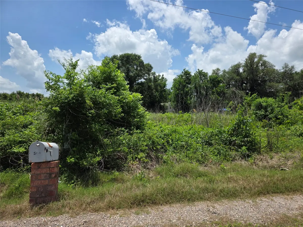 5011 County Road 347, Brazoria, TX 77422 - #1