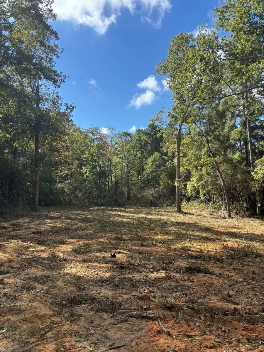 Lots 182-185 Conestoga Trail, Livingston, TX 77351 - Image #2