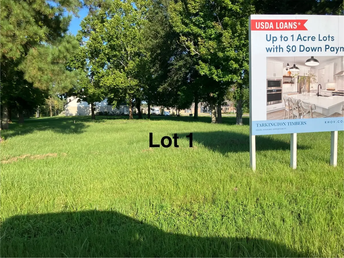 399 County Road 2268 Drive, Cleveland, TX 77327 - #1