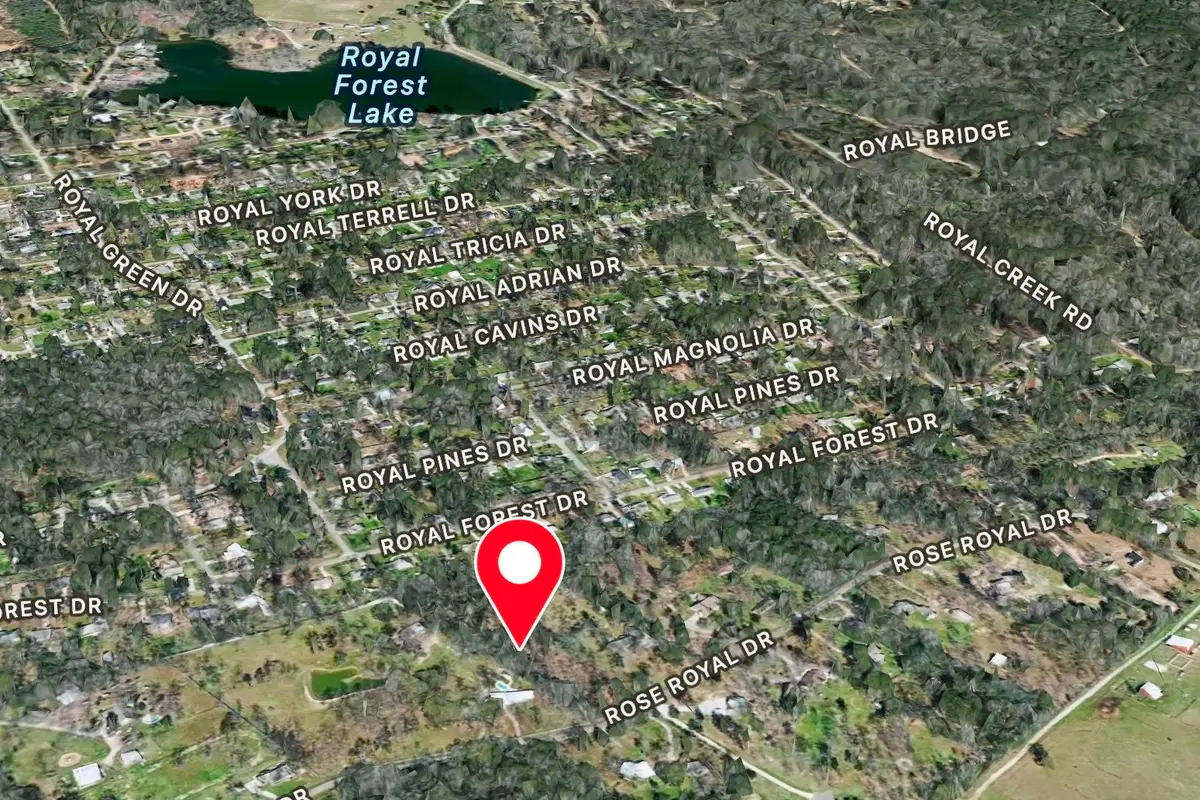 10825 Rose Royal Drive, Conroe, TX 77303 - Image #1