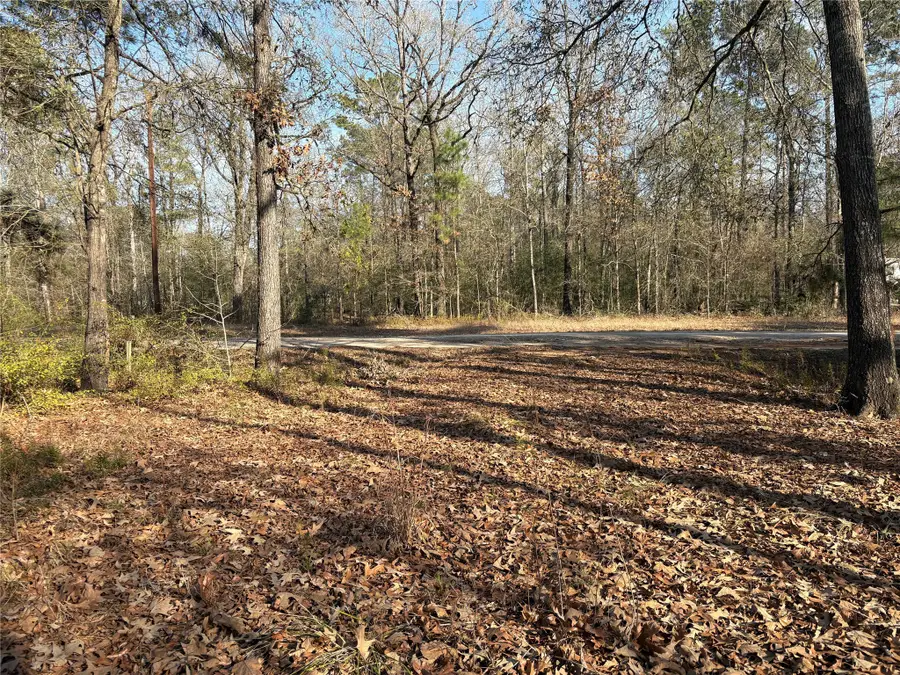 295 Lakecrest, Livingston, TX 77351 - Image #3