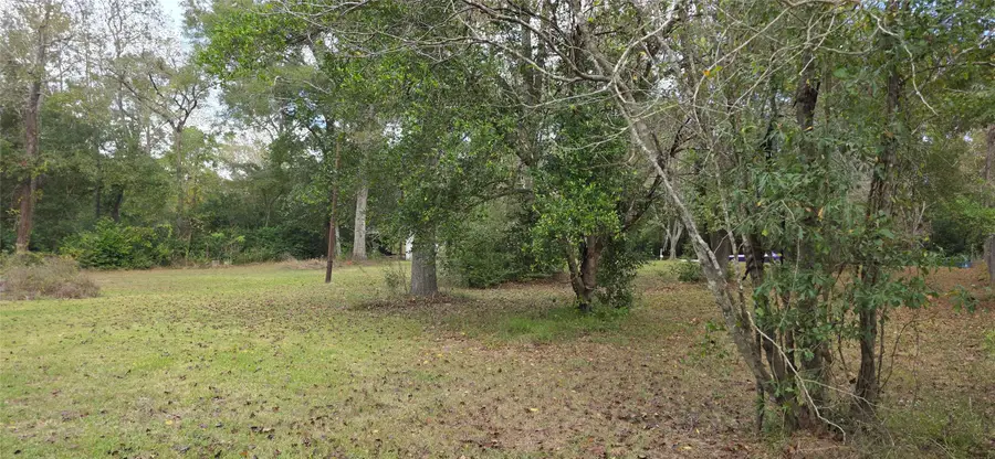 149 Green Street, New Caney, TX 77357 - Image #2