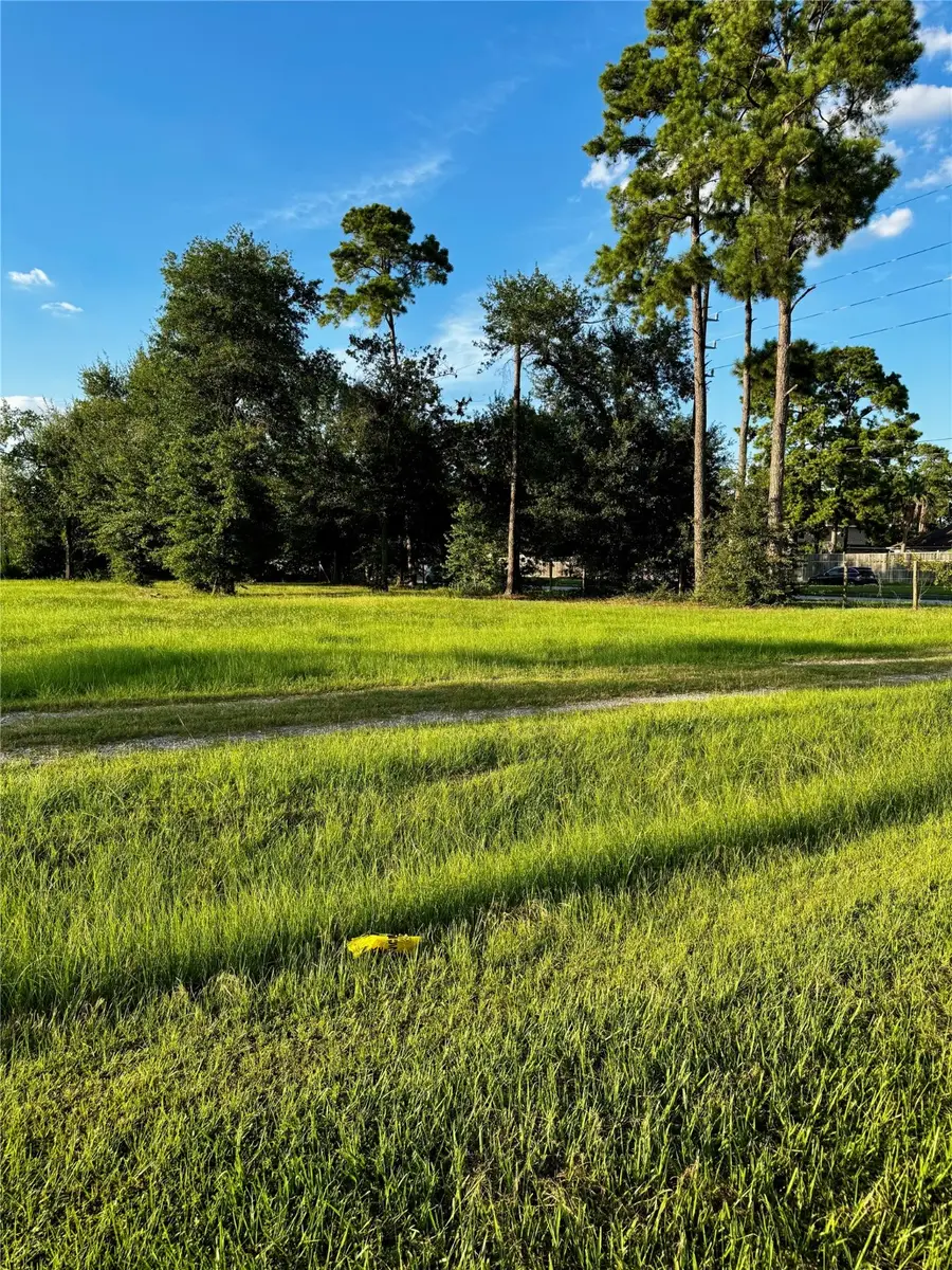 17205 Hufsmith Kohrville Road, Tomball, TX 77375 - Image #3