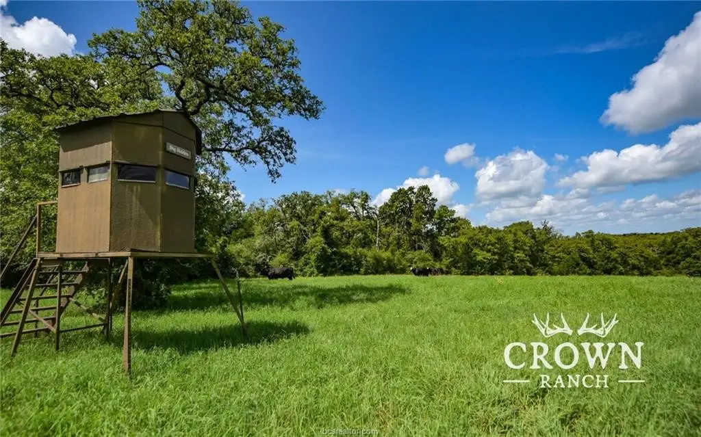 TBD Fm 908 - 1057 Acres, Caldwell, TX 77836 - #1