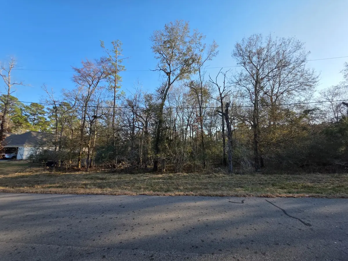 TBD Westward Ho St, Stagecoach, TX 77355 - #1